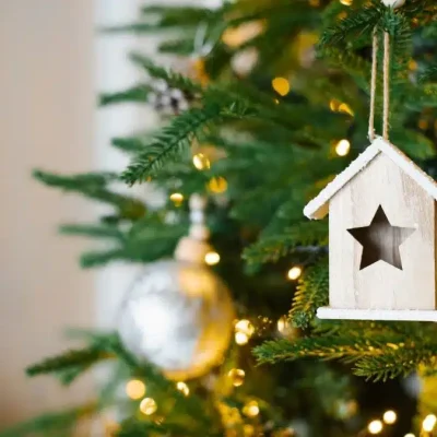 Tendințe de decorare pentru Crăciun 2024